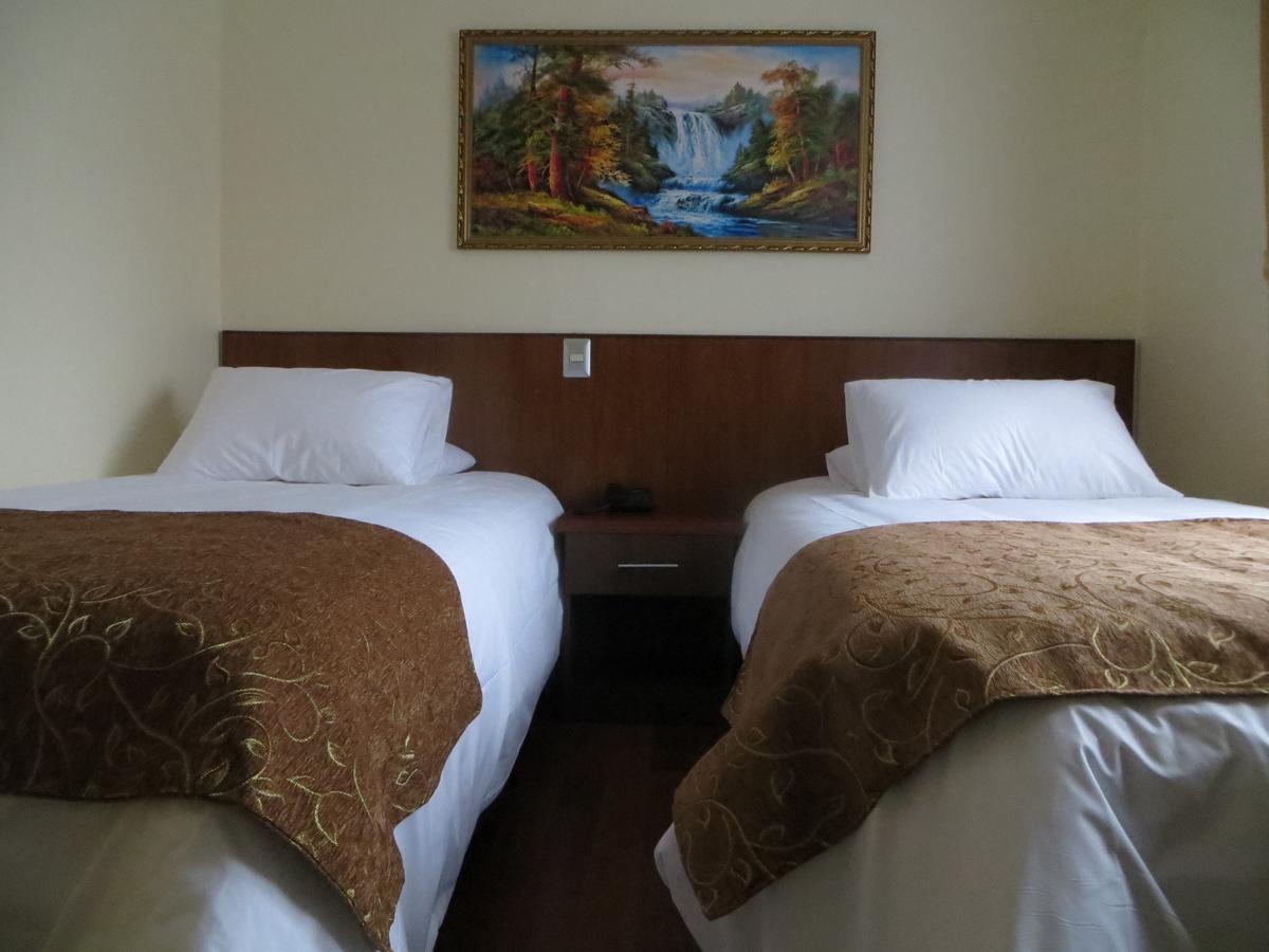 Hotel Newen テムコ エクステリア 写真